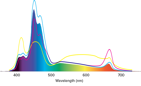 AI_52HD_spectrum_hd