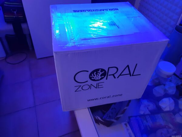 Unboxing Coral Zone - 1